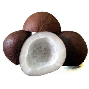 Dry coconut 1 Pcs