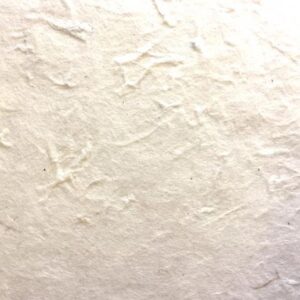 Nepali Paper (For Official Purpose)(5 Sheets)
