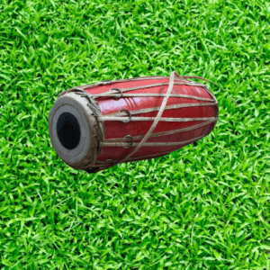 Madal Red (Typical folk musical instrument)