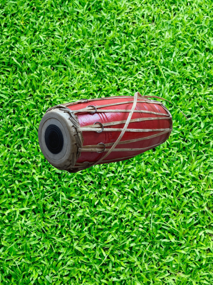 Madal Red (Typical folk musical instrument)
