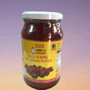 Ama ko Achar Dalla in Brine  380 g