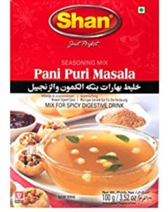 Shan Pani Puri Masala 100g